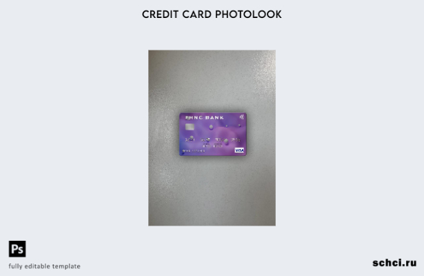 цифровая загрузка USA First Horizon National Corporation Bank Visa Card, фотоизо